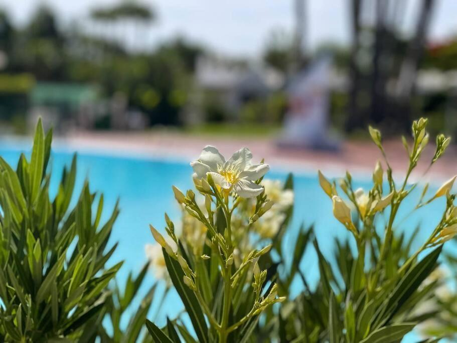 Cozy & Modern W/private Garden Bbq+wifi Appartement
