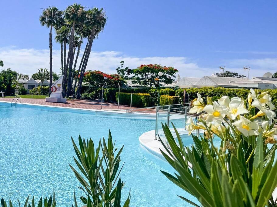 Apartament Cozy & Modern W/private Garden Bbq+wifi Maspalomas (Gran Canaria)